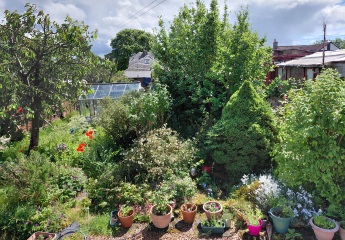 What have you done in the garden today? Part 7