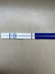 Tww June 2025🩷🩵