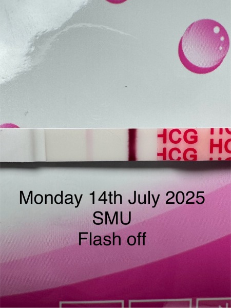 Looking for support. Will this be another chemical/miscarriage/ectopic