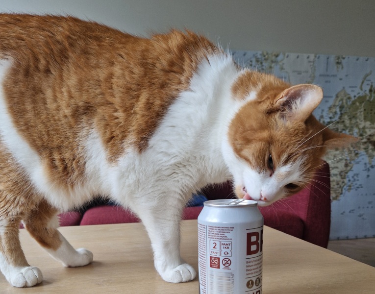 The One after the One where the Excellent Cats posed for a calendar