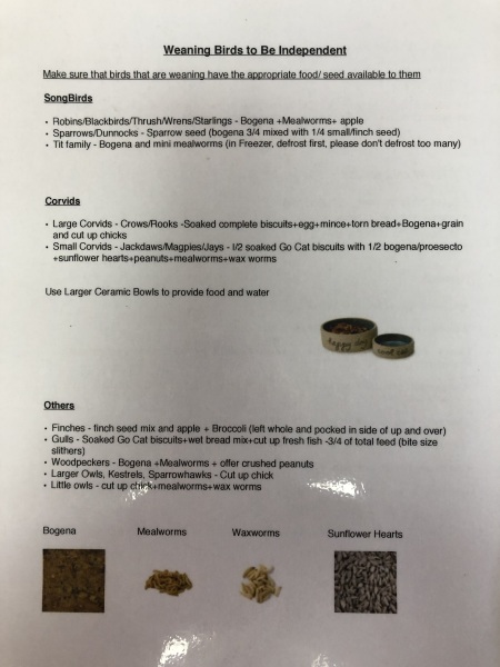 To do something at work I've already been bollocked for and received a warning for twice?