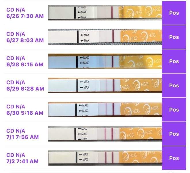 Help me stop obsessing over line progression (PAL)
