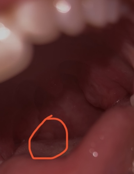 Does anyone know what this could be?
