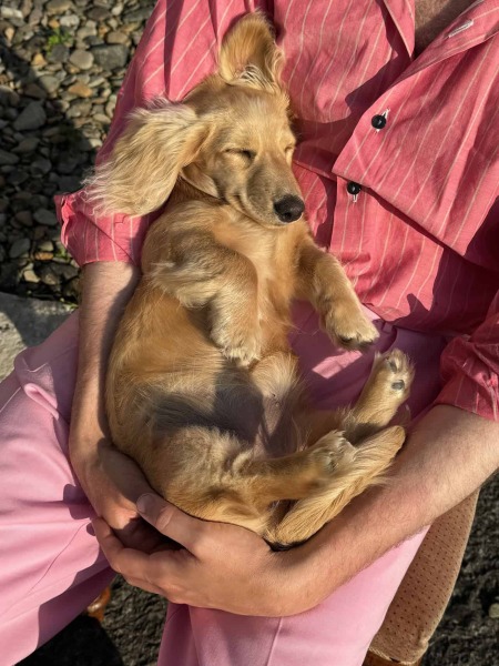 The Bluestocking - holding the line and losing the thread