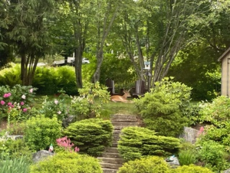 Thread 27 Starmer: He's a very clever cat