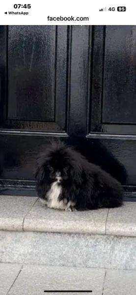 Labour isn't working - Thread 4