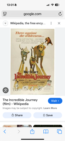 The OG Incredible Journey
