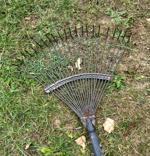 Is this a leaf rake?