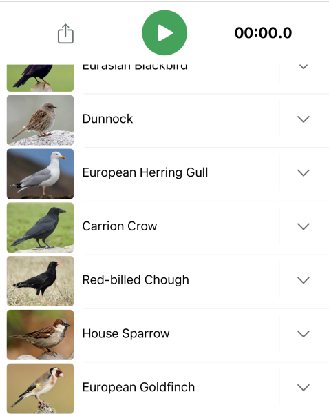 Merlin App Appreciation plus General Birding Chat