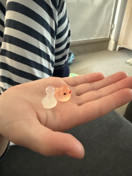 What are these called?