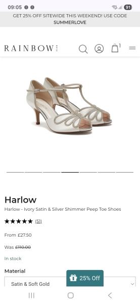 Which wedding dress?