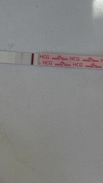 To think I still could be pregnant?