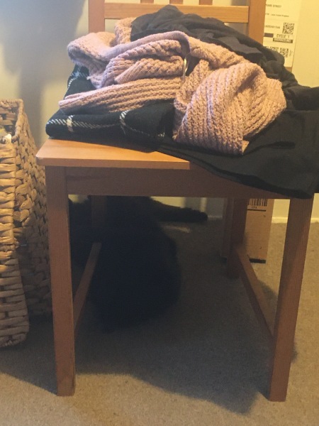 The One after the One where the Excellent Cats posed for a calendar