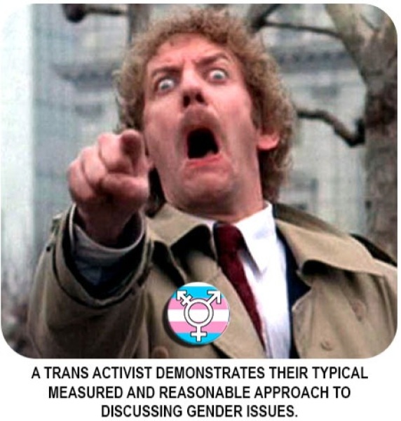 NHS Fife tries to silence nurse - Sandie Peggie vs NHS Fife Health Board and Dr Beth Upton - thread #39