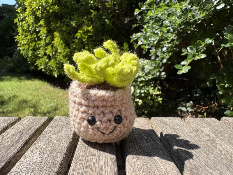 The Bluestocking - Invoking Split Pea Annexe B