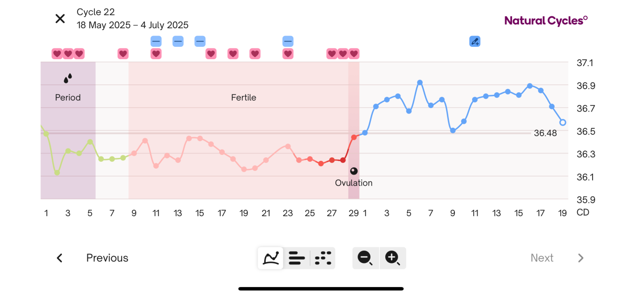 Obsessing over declining BBT in early pregnancy