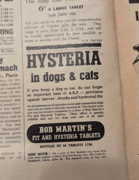 Adolescent Dog Survival Thread - welcome to the teenage wasteland