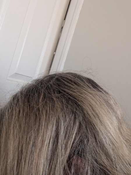 Help! Need to cover greys quickly at home in between appointments.