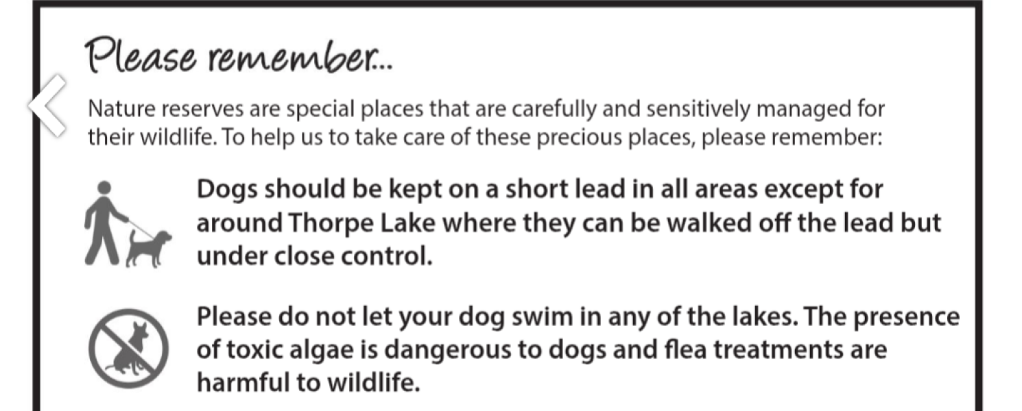 Adolescent Dog Survival Thread - welcome to the teenage wasteland