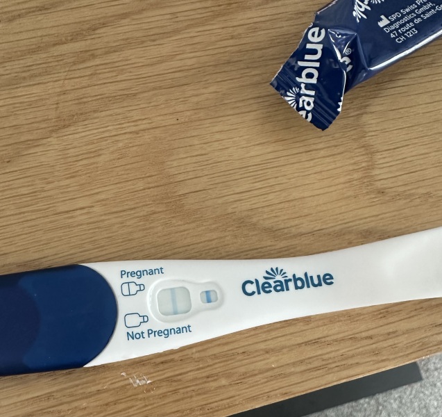 Pregnancy result