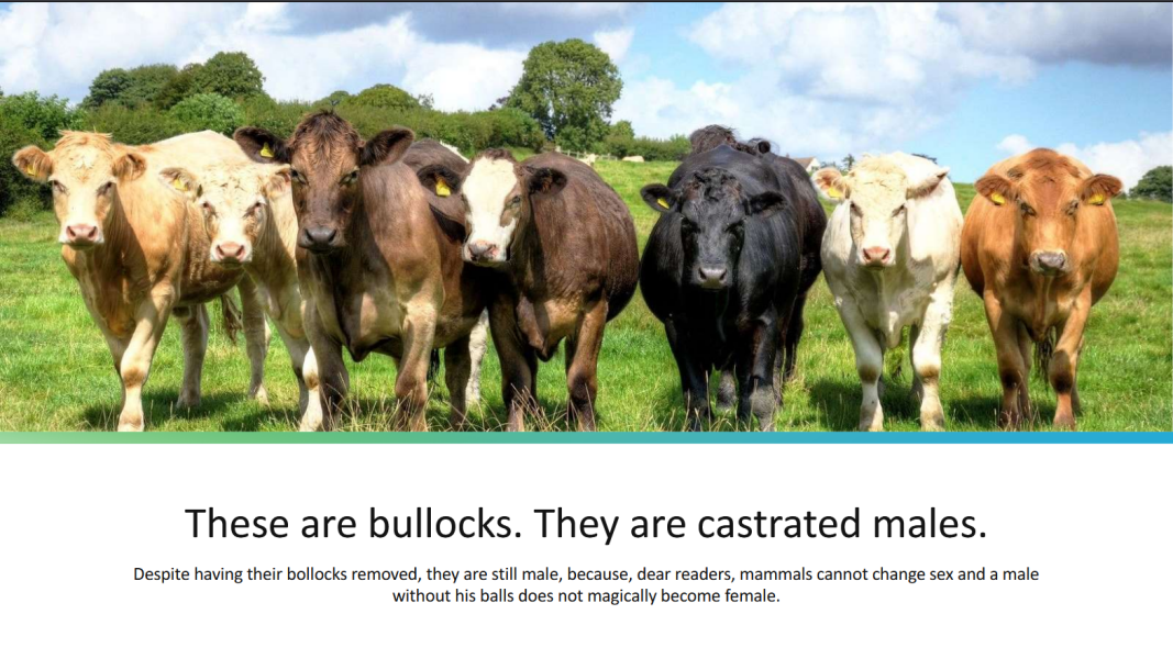 The Blackman-Bumba Guide...