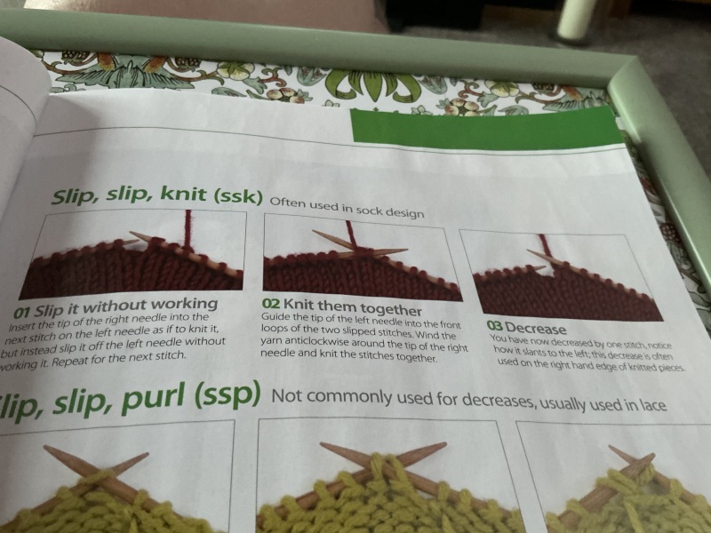 The Bluestocking - holding the line and losing the thread