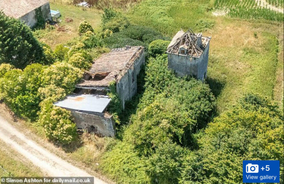 Thread 5: To feel disappointed after reading this in The Observer about the author and her husband from The Salt Path book and film?