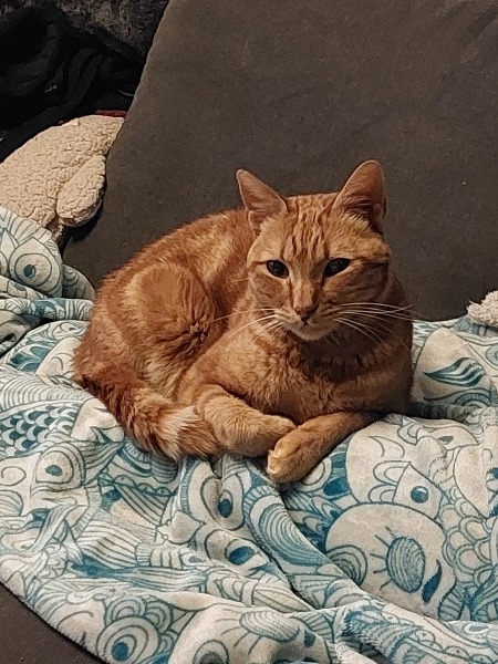 How girls and women dress in western countries  *MNHQ adding content warning for SA as requested*