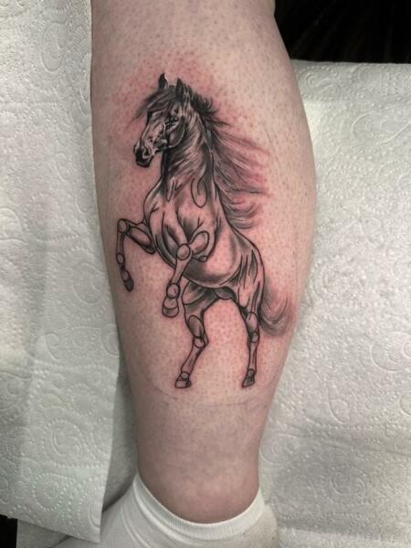 Which one is your favourite