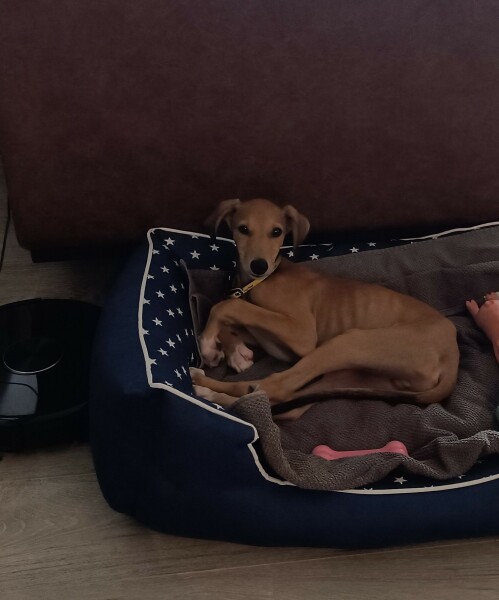 NHS Fife tries to silence nurse - Sandie Peggie vs NHS Fife Health Board and Dr Beth Upton - thread #34