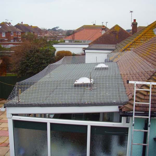 How to deal with bloody gulls?!