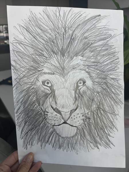 Guess the age of the child that drew this