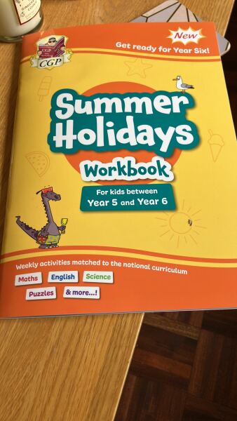 Do you 'make' your kids do any school work in the summer hols?