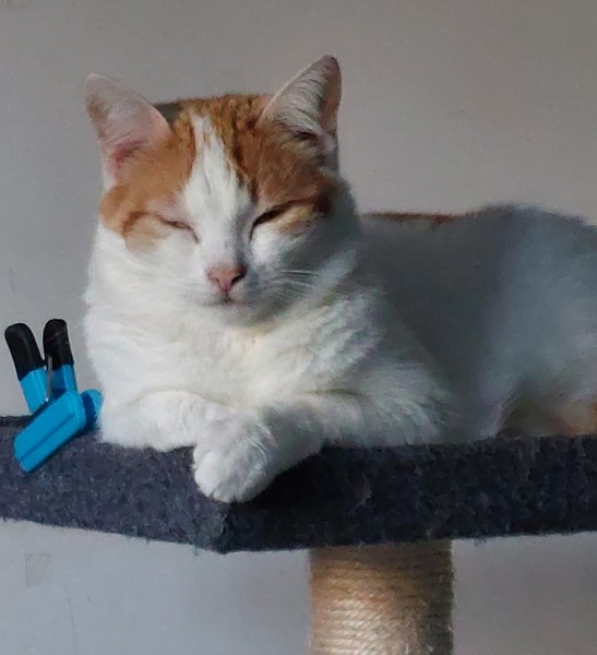 How girls and women dress in western countries  *MNHQ adding content warning for SA as requested*