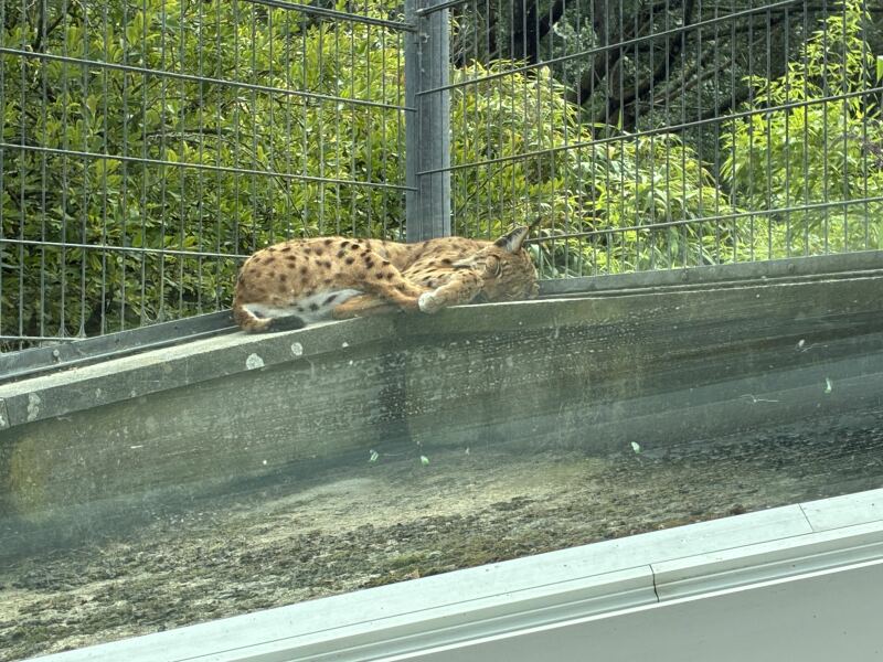 Year round Nigel Slater discussion thread Part 2