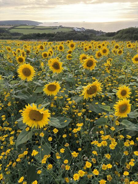 Sarah Summers wins Single Sex provision for r*pe support in Brighton & Hove