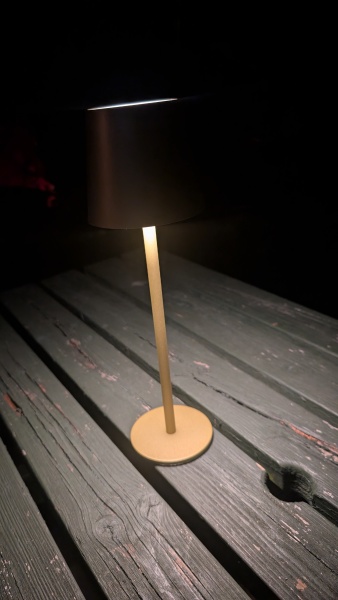 Outdoor light with power switch- not security