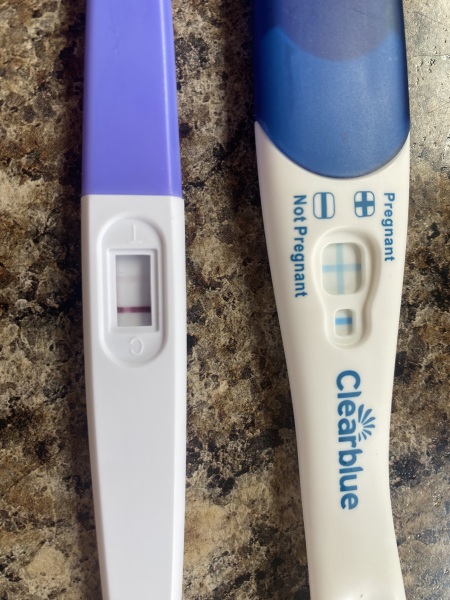 Day 38 of 32/33 day cycle am I pregnant