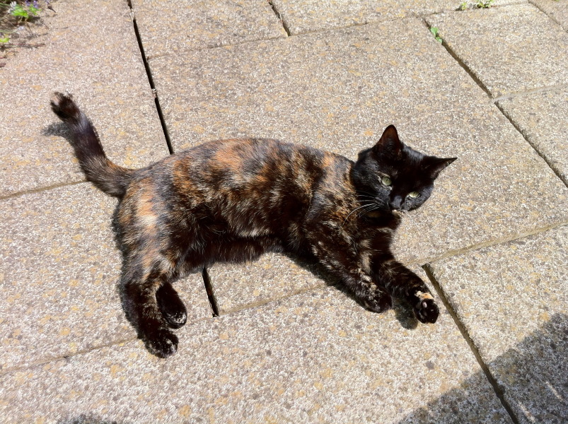 Thread 18 - TalkLair: "That's no moon. It's a space station!"