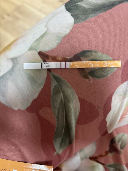 13/14 DPO - Could this be twins?