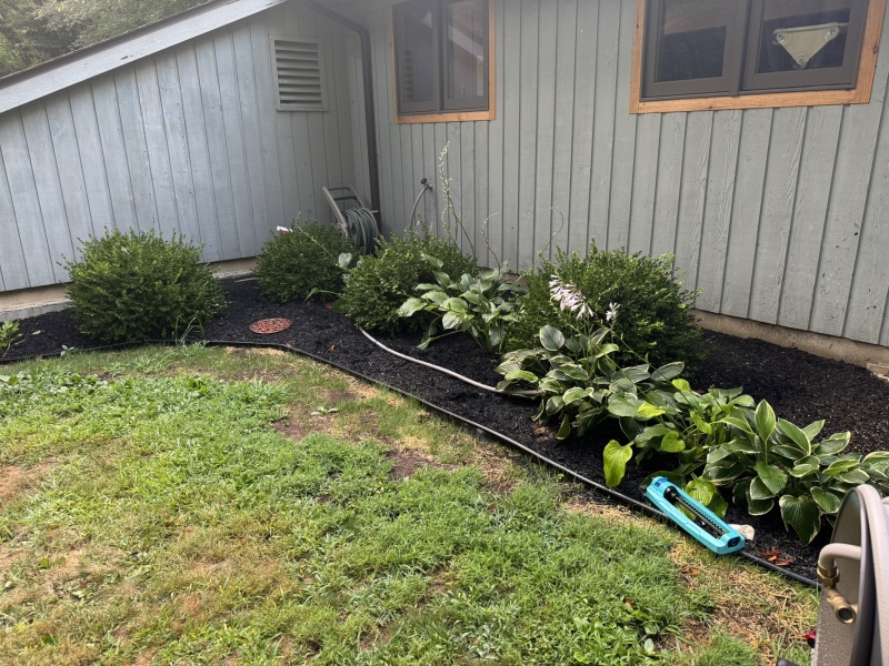 Come and tell us your dull and unexciting news 34: Calmly through the day