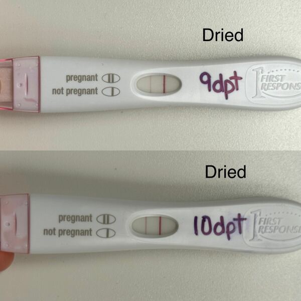 FETs June 2025 ✨✨