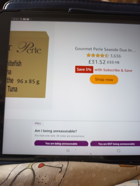 Huge advertisements on I pad blocking screen