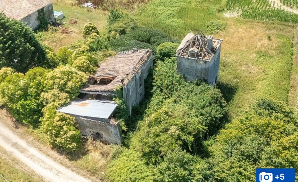 Thread 5: To feel disappointed after reading this in The Observer about the author and her husband from The Salt Path book and film?