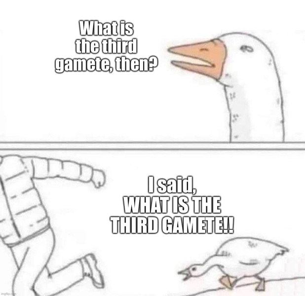 NHS Fife tries to silence nurse - Sandie Peggie vs NHS Fife Health Board and Dr Beth Upton - thread #37