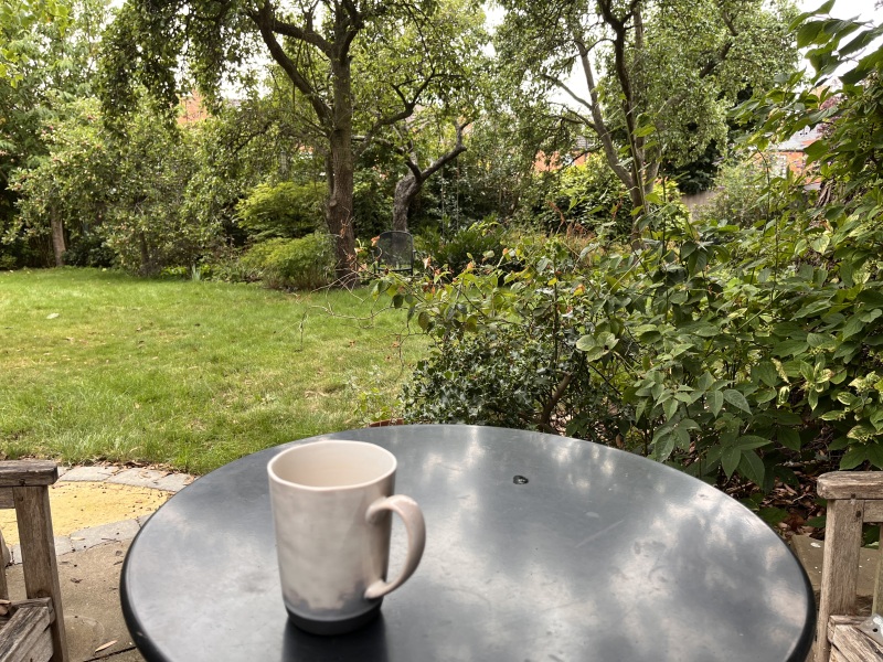 The Great Recovery part 4