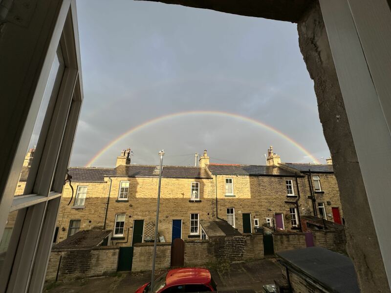 Adolescent Dog Survival Thread - welcome to the teenage wasteland