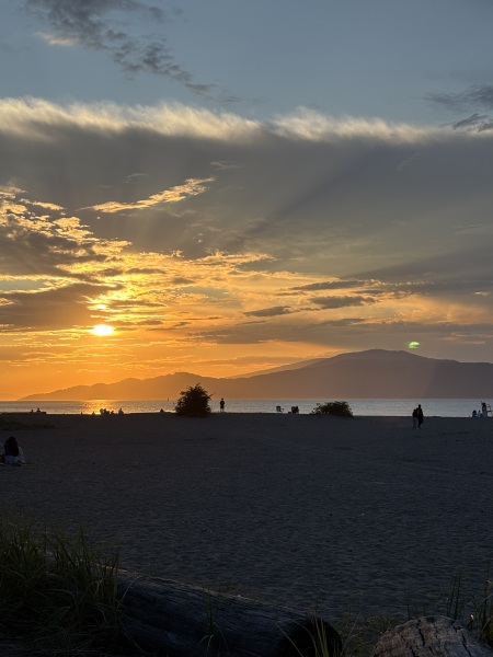 Come and tell us your dull and unexciting news 34: Calmly through the day