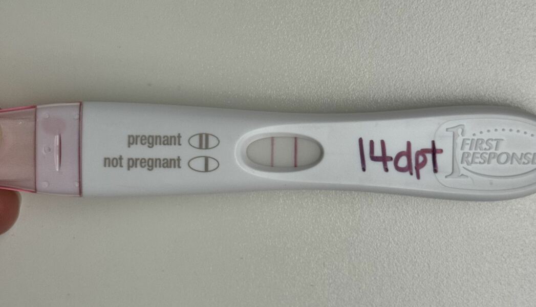 FETs June 2025 ✨✨