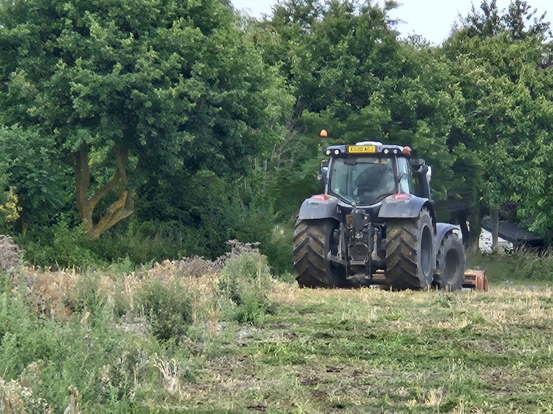 The Bluestocking - holding the line and losing the thread
